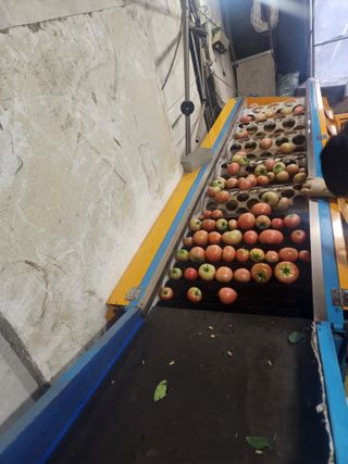 열혈특공님의 토마토 · 영농일지 작성글 사진