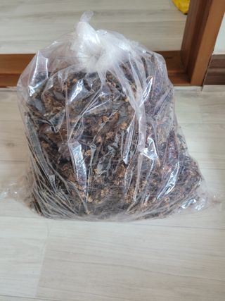 옥수수20869님의 기타작물 · 영농일지 작성글 사진