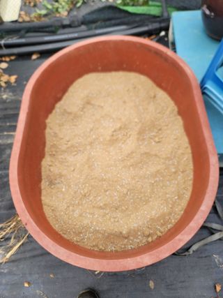 박치문님의 블루베리 · 영농일지 작성글 사진