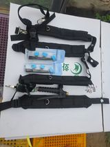 팜모닝 블루베리·영농일지 게시글 이미지