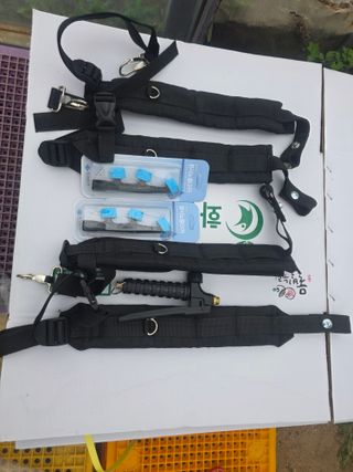 땍은이님의 블루베리 · 영농일지 작성글 사진