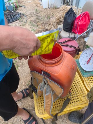 땍은이님의 기타작물 · 영농일지 작성글 사진