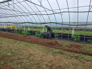 땍은이님의 기타작물 · 영농일지 작성글 사진