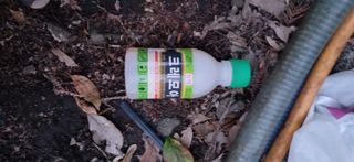 보물섬남자님의 귤 · 영농일지 작성글 사진