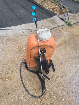 땍은이님의 블루베리 · 영농일지 작성글 사진