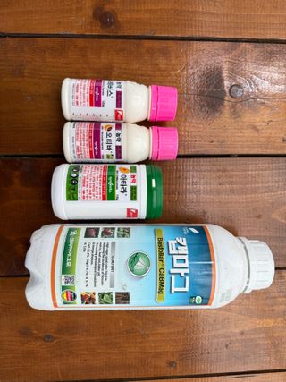 이선민(호뜨락)님의 포도 · 영농일지 작성글 사진