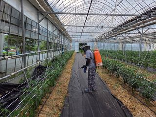 땍은이님의 기타작물 · 영농일지 작성글 사진