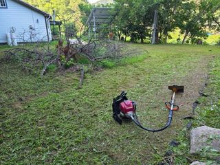 땍은이님의 블루베리 · 영농일지 작성글 사진