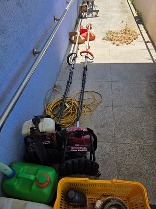 땍은이님의 블루베리 · 영농일지 작성글 사진