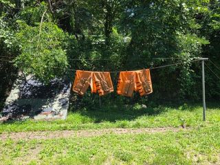 땍은이님의 블루베리 · 영농일지 작성글 사진