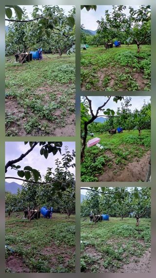 향양농장 사랑합니다님의 기타작물 · 영농일지 작성글 사진