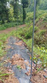 팜모닝 기타작물·영농일지 게시글 이미지