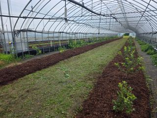 땍은이님의 기타작물 · 영농일지 작성글 사진