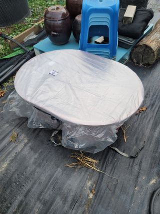 박치문님의 블루베리 · 영농일지 작성글 사진