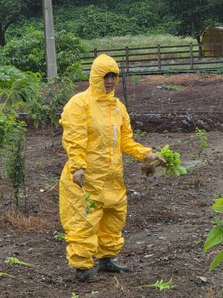 황인동님의 기타작물 · 영농일지 작성글 사진