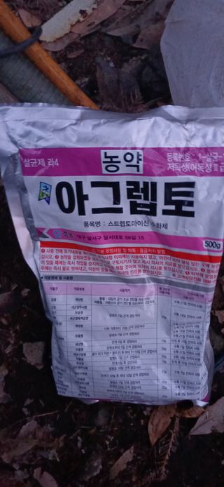 보물섬남자님의 귤 · 영농일지 작성글 사진