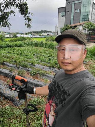 로만아빠님의 감자 · 영농일지 작성글 사진