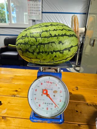 정성동님의 기타작물 · 영농일지 작성글 사진