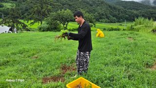 박현주님의 기타작물 · 영농일지 작성글 사진