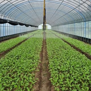 김승국님의 기타작물 · 영농일지 작성글 사진