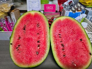 정성동님의 기타작물 · 영농일지 작성글 사진