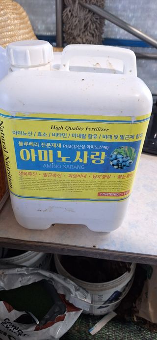 김숙희님의 블루베리 · 영농일지 작성글 사진