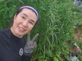 스마일00님의 기타작물 · 영농일지 작성글 사진