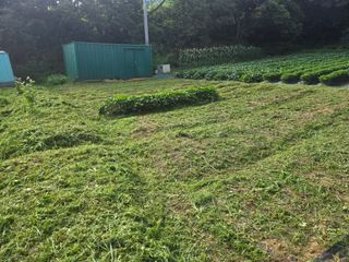 강화화도님의 기타작물 · 영농일지 작성글 사진