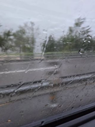 친환경아줌아님의 기타작물 · 영농일지 작성글 사진