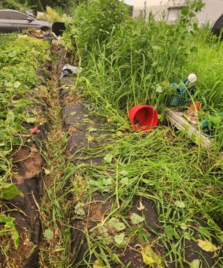 스마일00님의 기타작물 · 영농일지 작성글 사진