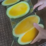 팜모닝 기타작물·영농일지 게시글 이미지