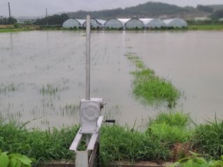 고추님의 벼 · 영농일지 작성글 사진