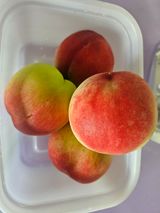 팜모닝 복숭아·영농일지 게시글 이미지