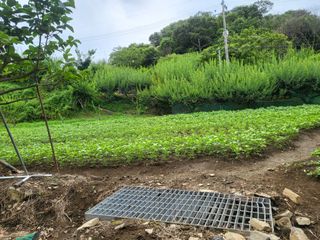 최문열님의 콩 · 영농일지 작성글 사진