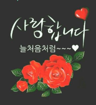 장해숙님의 양파 · 영농일지 작성글 사진