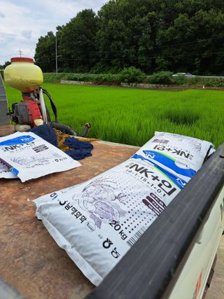 좋은인연원님의 벼 · 영농일지 작성글 사진