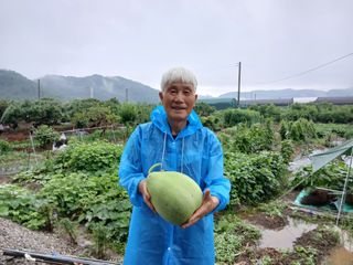 이갑덕님의 오이 · 영농일지 작성글 사진