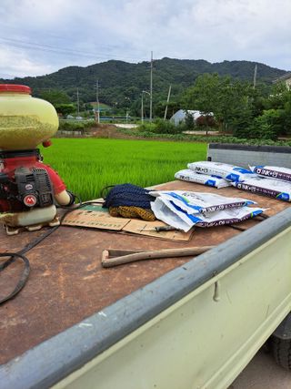 좋은인연원님의 벼 · 영농일지 작성글 사진