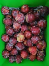 팜모닝 기타작물·영농일지 게시글 이미지