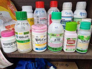 박병철님의 고추 · 영농일지 작성글 사진