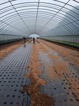 팜모닝 기타작물·영농일지 게시글 이미지