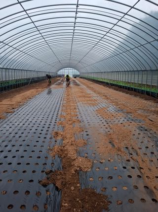 결단이님의 기타작물 · 영농일지 작성글 사진