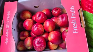 김호영님의 복숭아 · 영농일지 작성글 사진