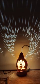 팜모닝 기타작물·영농일지 게시글 이미지