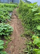 팜모닝 기타작물·영농일지 게시글 이미지