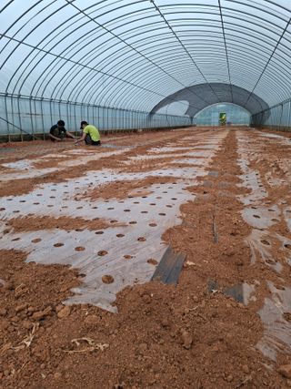 결단이님의 기타작물 · 영농일지 작성글 사진