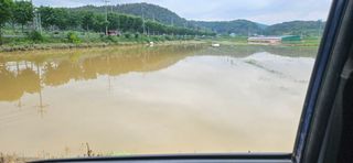 구춘봉님의 벼 · 영농일지 작성글 사진