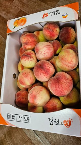 김호영님의 복숭아 · 영농일지 작성글 사진