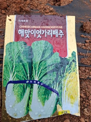 결단이님의 기타작물 · 영농일지 작성글 사진