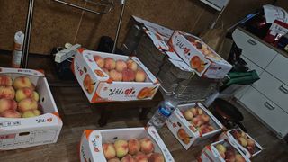 김호영님의 복숭아 · 영농일지 작성글 사진